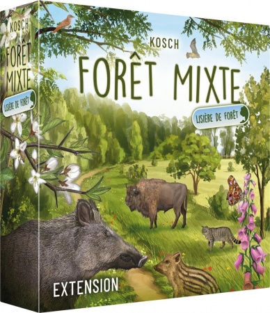 FORÊT MIXTE : LISIERE DE FORET (EXT)